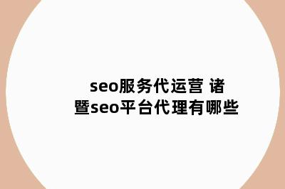 seo服务代运营 诸暨seo平台代理有哪些